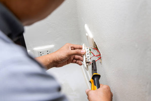 Best Home Electrical Repair  in Newbern, TN